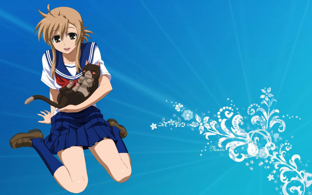 Girl blue skirt cat kyoto free wallpaper for desktop - medium preview image