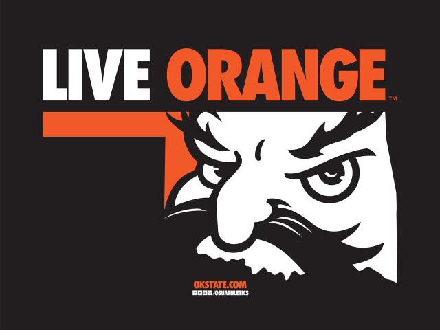 Orange black tiger head logo free wallpaper for desktop - medium preview image