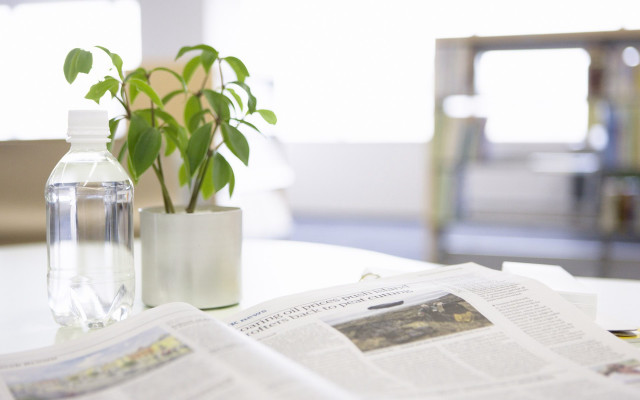 Plant vase table newspaper water free wallpaper for desktop - medium preview image