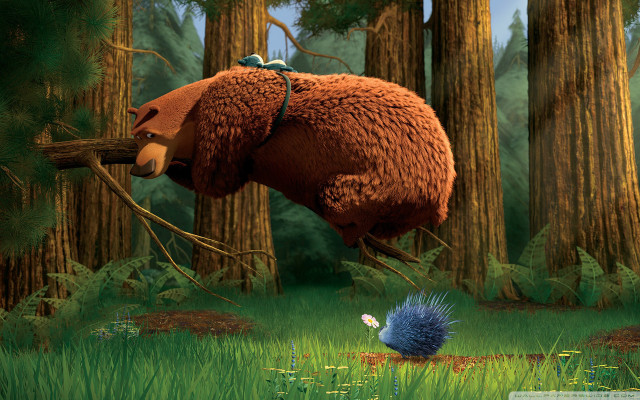 Bear woods bird mouth bird free wallpaper for desktop - medium preview image