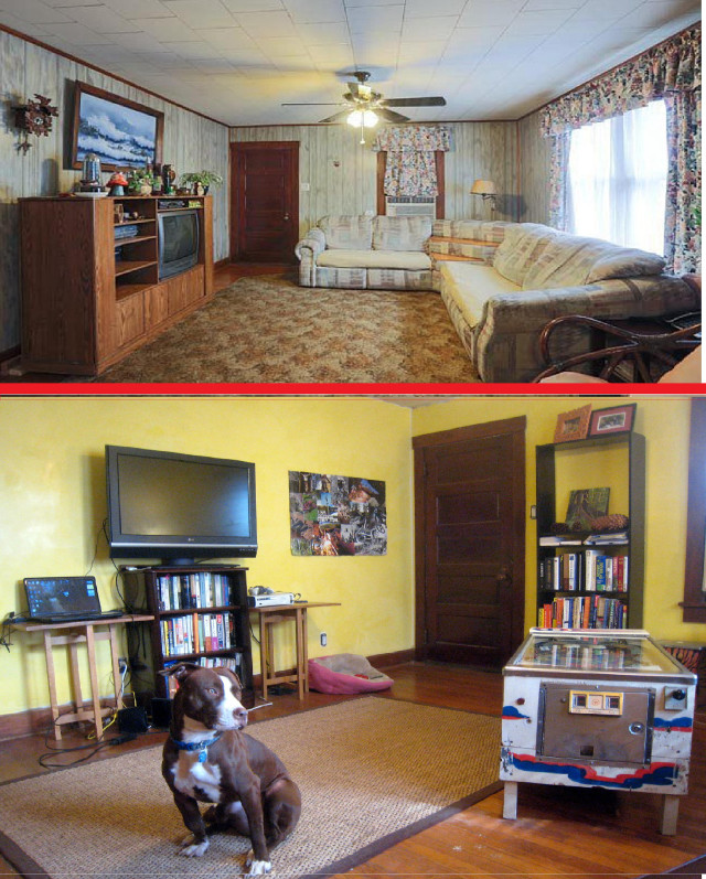 Dog sitting rug living room free wallpaper for mobile - medium preview image