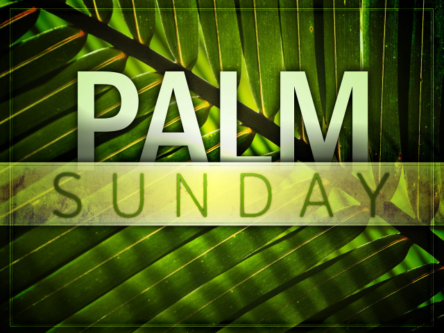 Palm leaf palm sunday green #2 free wallpaper for desktop - medium preview image