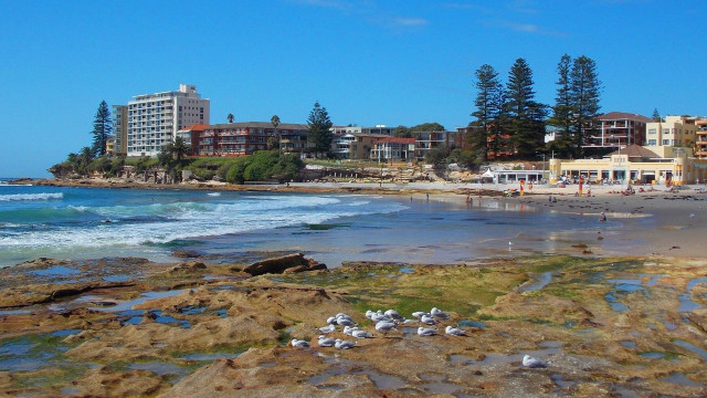 Beach birds buildings blue sky free wallpaper for desktop - medium preview image