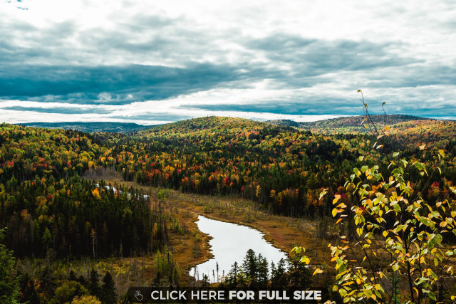 Scenic river fall trees cloudy free wallpaper for desktop - medium preview image
