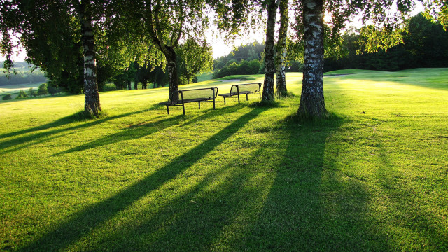 Park benches trees shade sunny free wallpaper for desktop - medium preview image