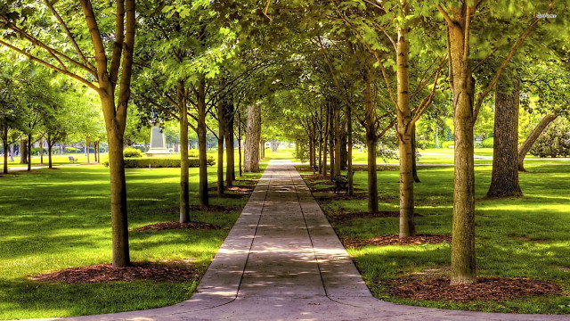 Walkway park trees grass sidewalk free wallpaper for desktop - medium preview image