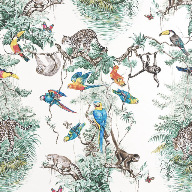 Jungle wallpaper animals birds nature free wallpaper for tablet - medium preview image