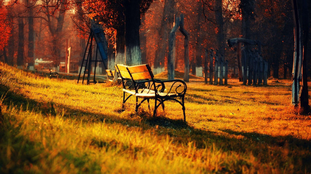 Park bench autumn leaves fall free wallpaper for desktop - medium preview image