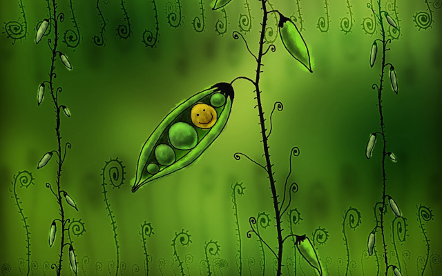 Green pea pod smiley face free wallpaper for desktop - medium preview image
