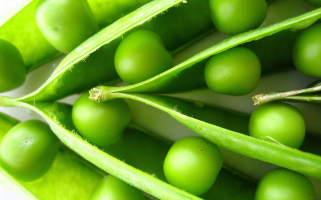 Close up pea pod green free wallpaper for desktop - medium preview image