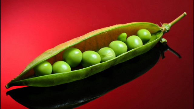 Pea pod green eggs red free wallpaper for desktop - medium preview image