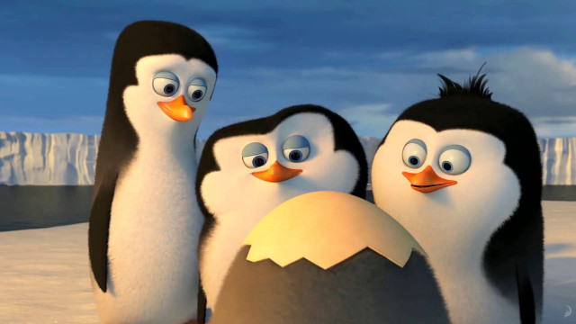 Penguins snow egg group standing free wallpaper for desktop - medium preview image