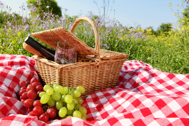 Picnic basket wine grapes flowers free wallpaper for desktop - medium preview image
