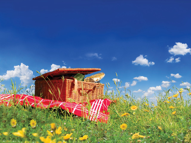 Picnic basket blanket field flowers free wallpaper for desktop - medium preview image