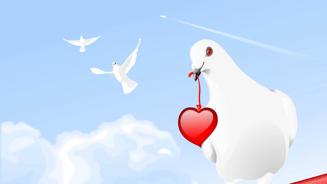 White bird heart flying sky free wallpaper for desktop - medium preview image