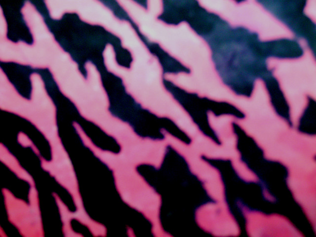 Pink black animal print wallpaper free wallpaper for desktop - medium preview image