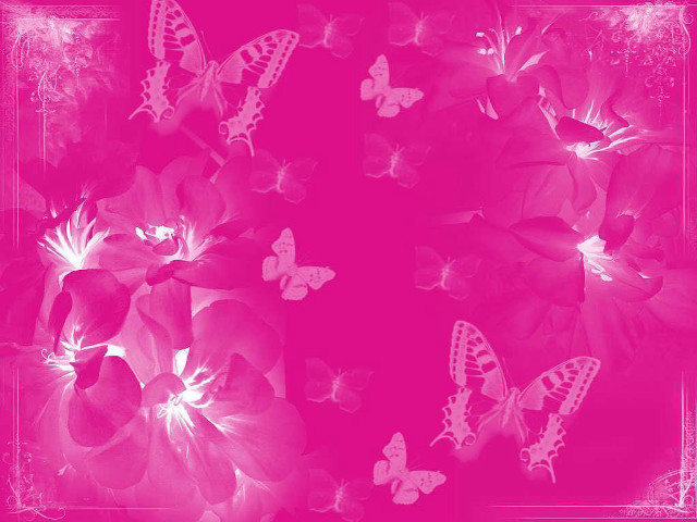 Pink background butterflies flowers middle free wallpaper for desktop - medium preview image