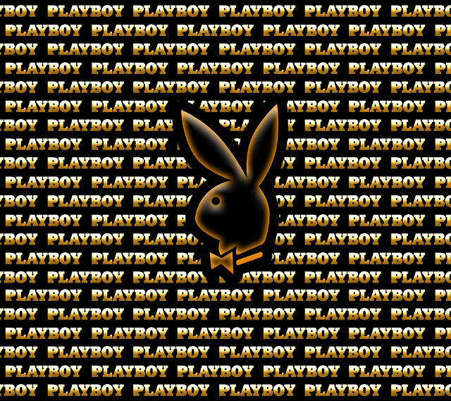 Rabbit black face yellow lettering free wallpaper for tablet - medium preview image