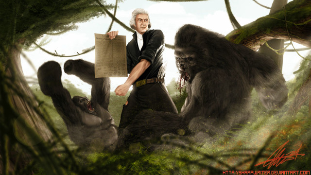 Man holding sign gorilla forest free wallpaper for desktop - medium preview image