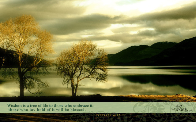 Two trees lake quote life free wallpaper for desktop - medium preview image
