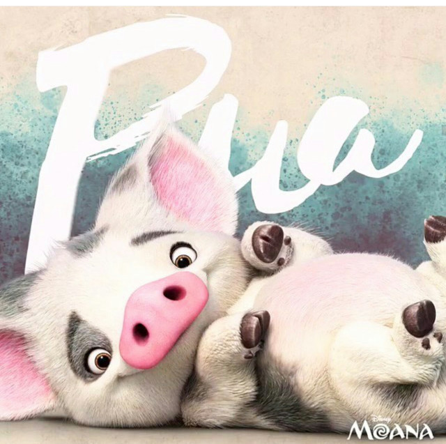 Pigs laying next to each free wallpaper for tablet - medium preview image