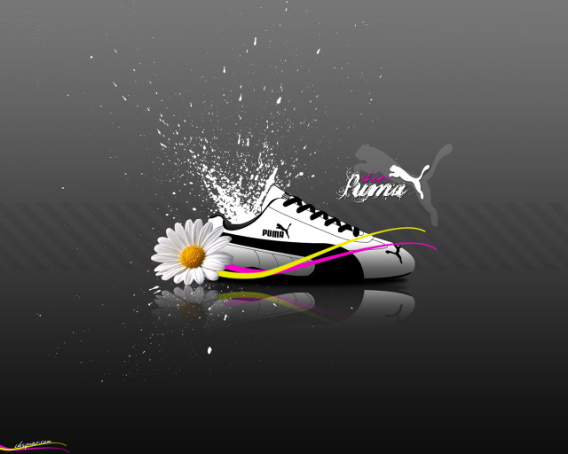 White black shoe flower name free wallpaper for desktop - medium preview image