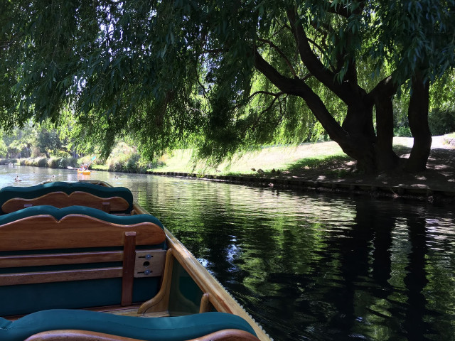 Row boat water tree bench free wallpaper for desktop - medium preview image