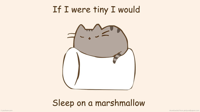 Cat sleeping marshmallow pillow eyes free wallpaper for desktop - medium preview image