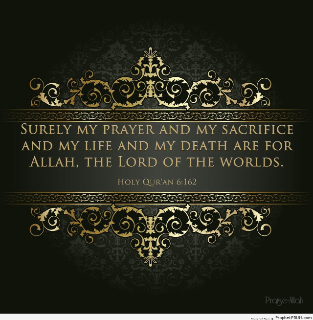 Bible quote inspirational wisdom faith free wallpaper for tablet - medium preview image