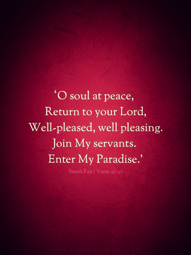 Red background john 3 #16 free wallpaper for mobile - medium preview image