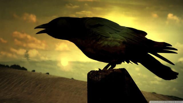 Black bird wooden post cloudy free wallpaper for desktop - medium preview image