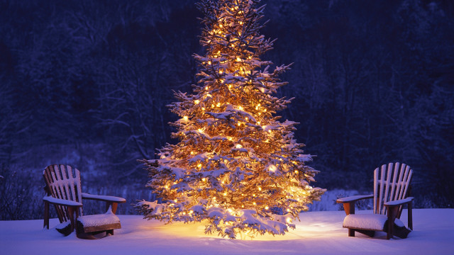 Christmas tree chairs snow night free wallpaper for desktop - medium preview image