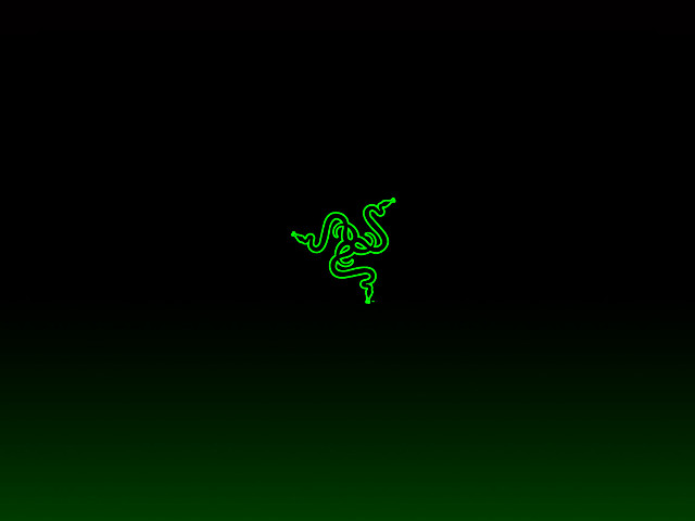Green black lizard backside green free wallpaper for desktop - medium preview image