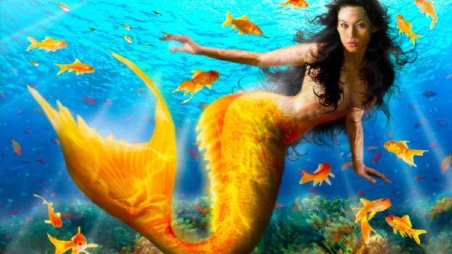 Woman bikini swimming ocean fish free wallpaper for desktop - medium preview image