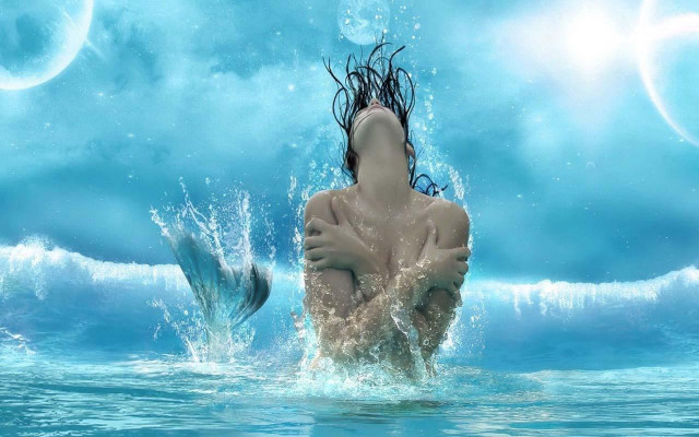 Woman dolphin water fish swimming free wallpaper for desktop - medium preview image