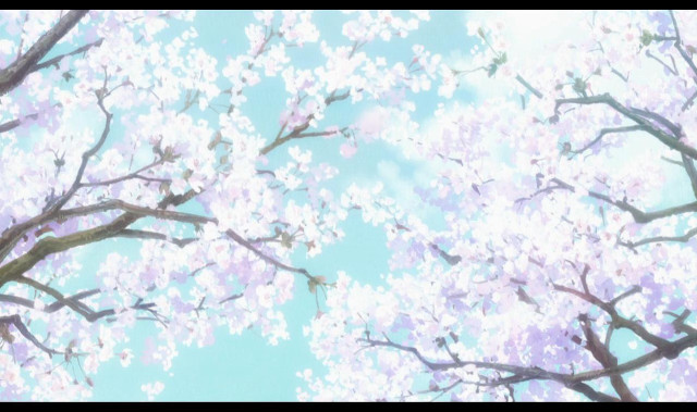 Tree pink flowers blue sky #9 free wallpaper for desktop - medium preview image