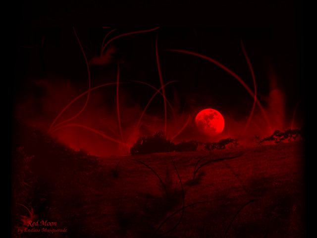 Red moon night field grass free wallpaper for desktop - medium preview image