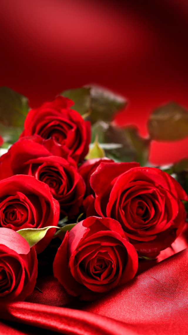 Red roses green leaves blurry #3 free wallpaper for mobile - medium preview image