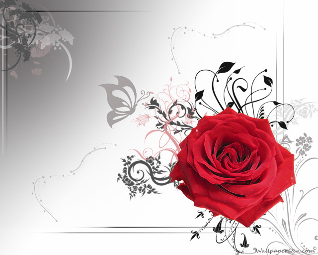 Red rose black white swirls free wallpaper for desktop - medium preview image