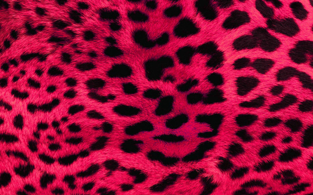 Pink black animal print fabric #4 free wallpaper for desktop - medium preview image