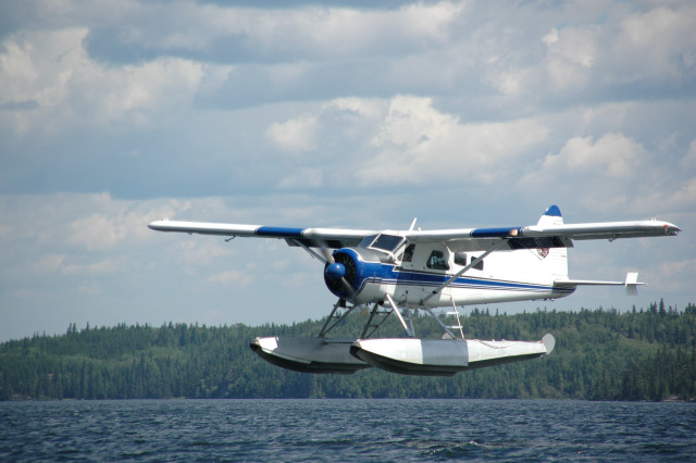 Small plane water trees cloudy free wallpaper for desktop - medium preview image