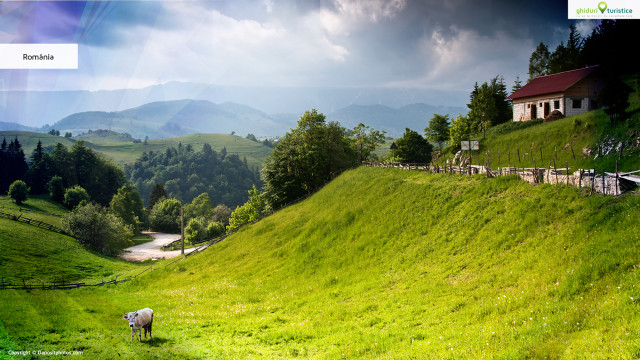 Green hillside house cow grazing free wallpaper for desktop - medium preview image