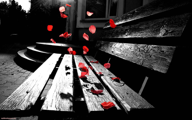 Wooden bench red flowers light #2 free wallpaper for desktop - medium preview image