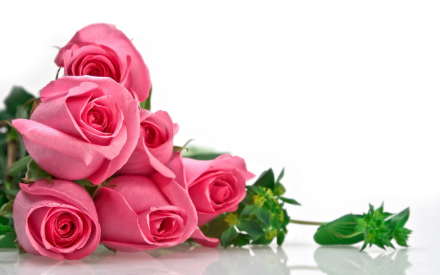 Pink roses table white surface free wallpaper for desktop - medium preview image