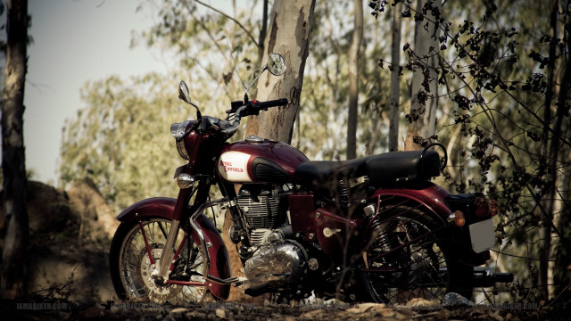 Motorcycle parked woods near tree free wallpaper for desktop - medium preview image