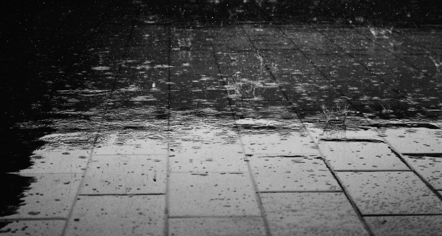 Black white photo rain soaked free wallpaper for desktop - medium preview image