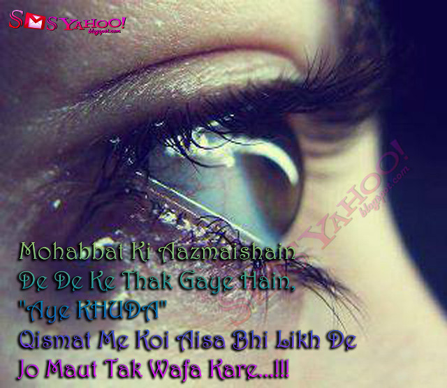 Close up eye quote image free wallpaper for desktop - medium preview image