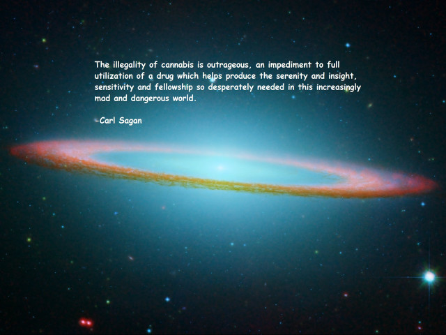 Large colorful object quote says free wallpaper for desktop - medium preview image