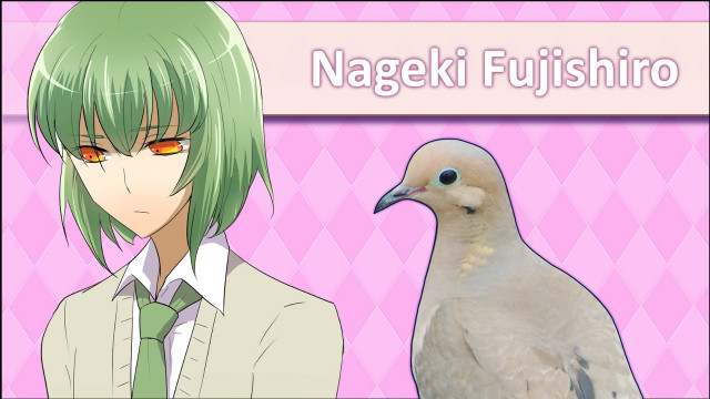 White bird green hair pink free wallpaper for desktop - medium preview image