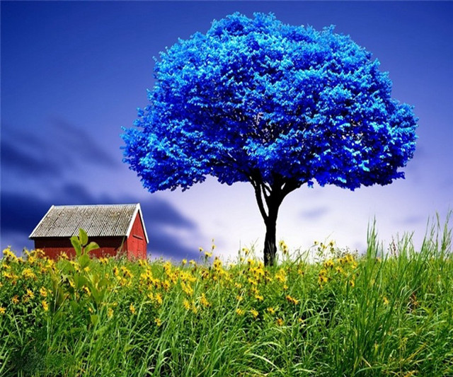 Tree red house blue sky #2 free wallpaper for desktop - medium preview image